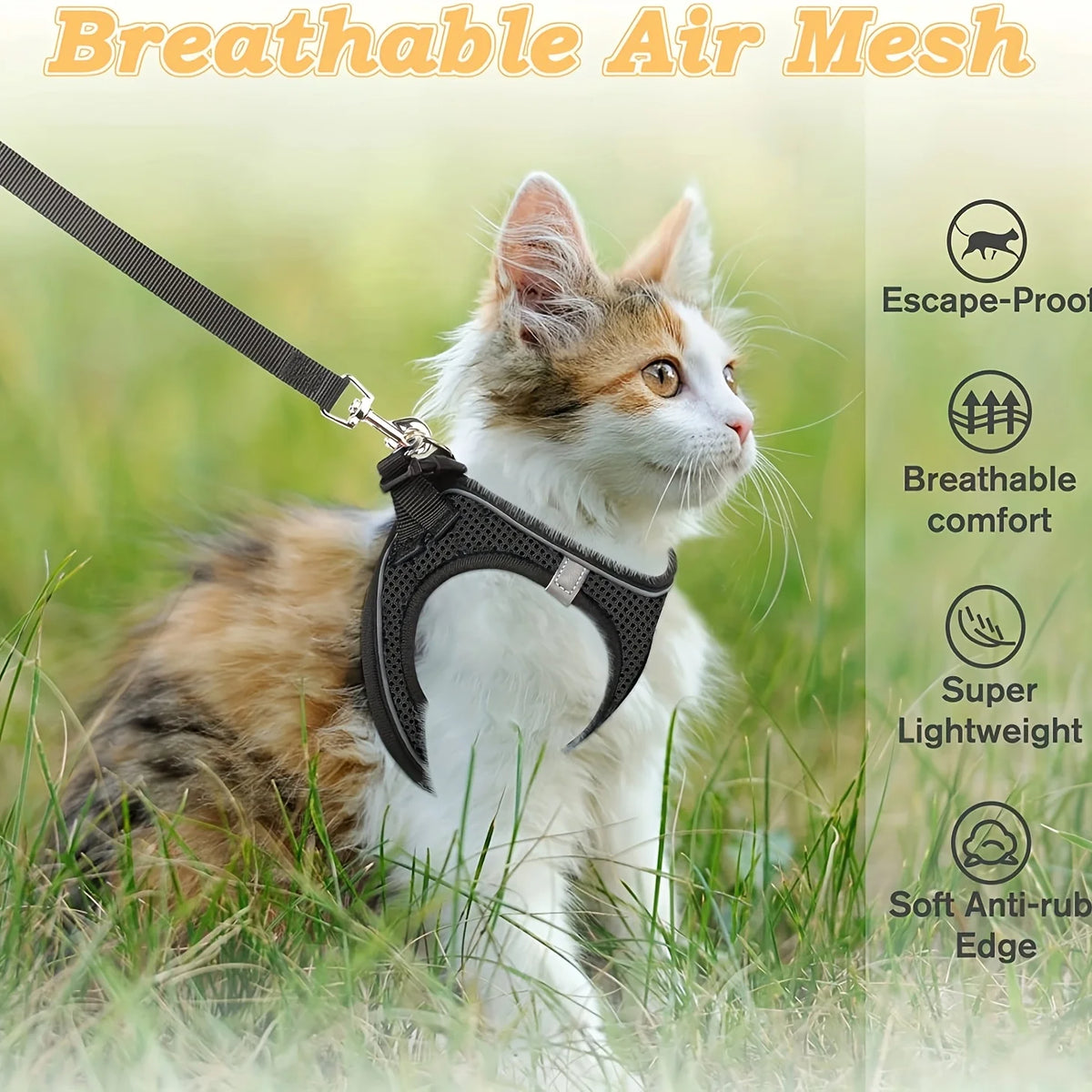 A fluffy orange and white kitten wearing a black breathable air mesh escape-proof harness in a grassy outdoor setting.