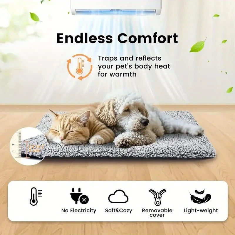 A fluffy cat and dog are resting on a gray pet bed mat, with a white air purifier visible in the background.