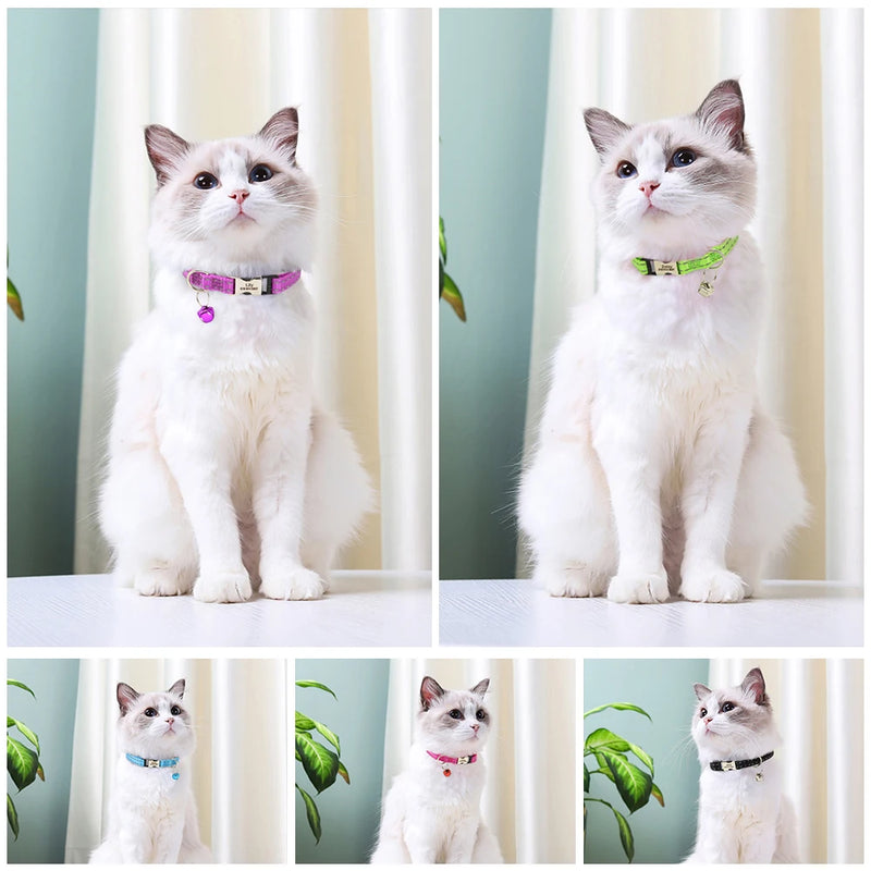 Personalisierte Katzenhalsband mit gedrucktem Design und graviertem ID-Anhänger