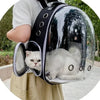 A person is wearing a transparent pet carrier backpack designed for dogs and cats.