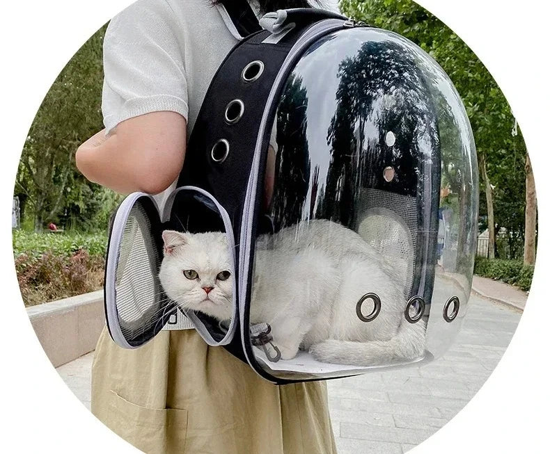 A person is wearing a transparent pet carrier backpack designed for dogs and cats.