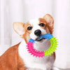 A small dog is holding a colorful spiky ring toy for teeth cleaning and fetch play.
