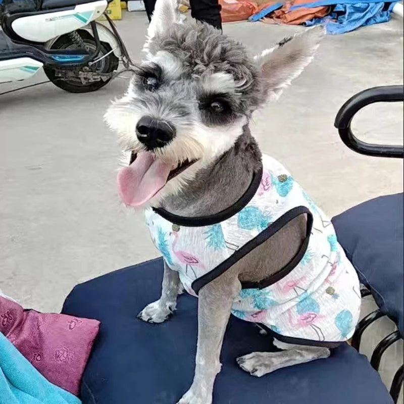 Breathable Mesh Cooling Vest for Small Dogs and Cats
