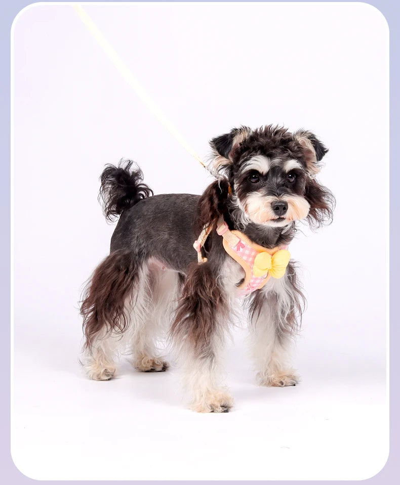 A small black and white dog wearing an adjustable plaid harness with a yellow bow.