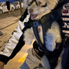 Mochila Portaperros de Pecho
