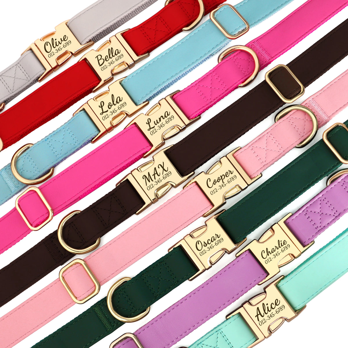 A collection of custom engraved leather dog collars in various colors like red, pink, olive, and green.