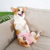 Adjustable Dog Diaper Pants with Suspenders