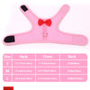 Padded Comfort Leash for Small Pets and Rodents