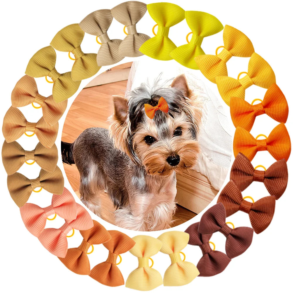 A circular arrangement of 30 colorful handmade dog bow knots in shades of yellow, orange, brown, and beige.