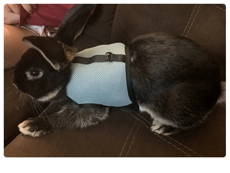 حقيبة حاملة حيوانات أليفة متعددة الألوان مع حزام و رباط للأرانب