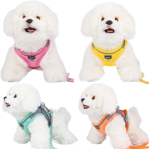 Harnais Réglable pour Chien avec Laisse pour Chiens de Petite Taille