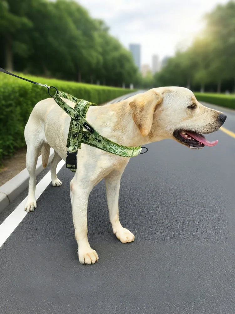 A light-colored dog wearing a green reflective no-pull harness walking on an asphalt road.
