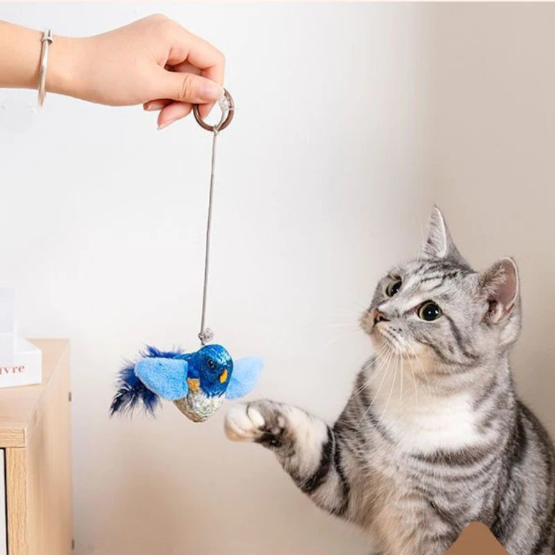 Eine tabby Katze schaut auf ein blau-gelbes Vogelspielzeug, das an einer Haken hängt.