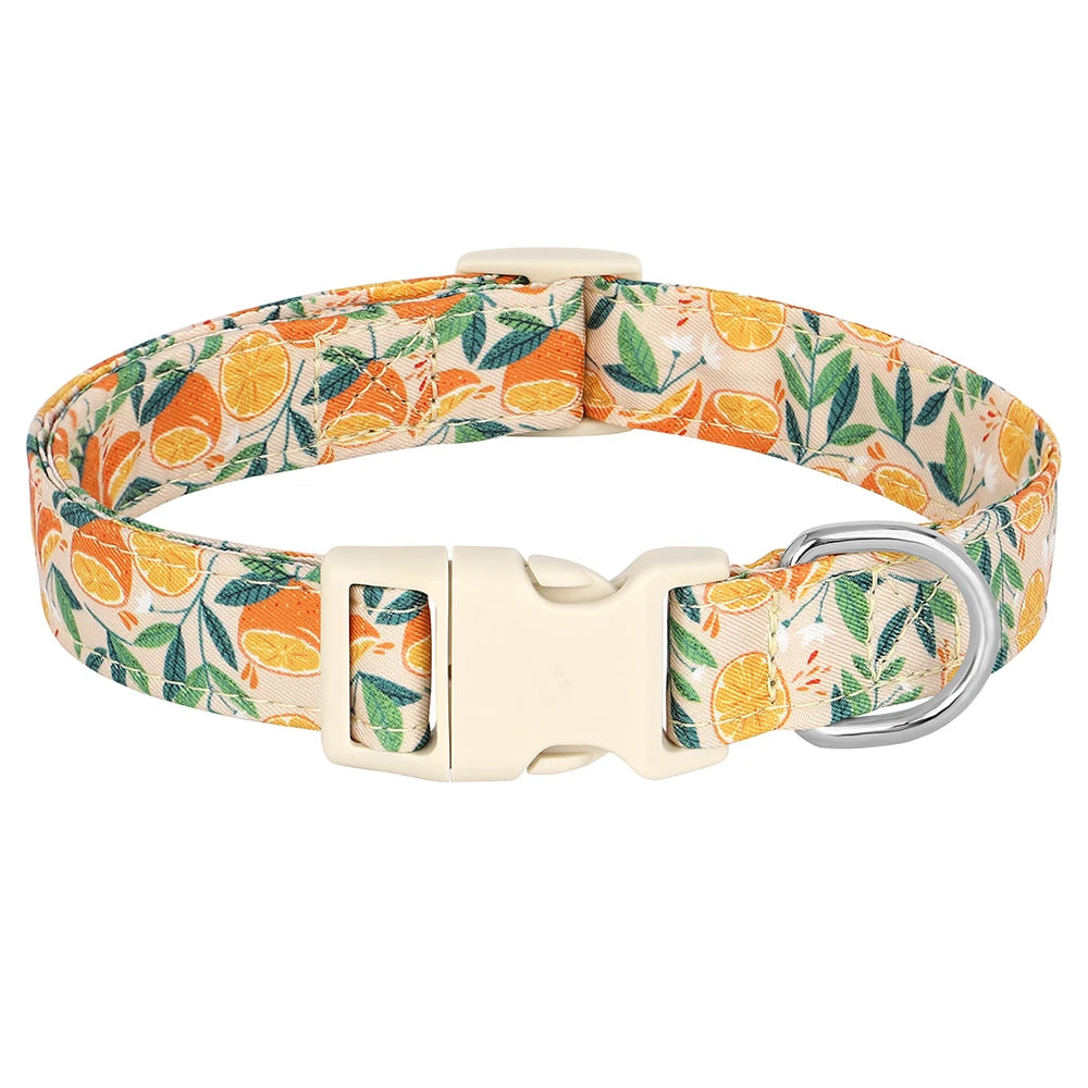 A beige nylon dog collar featuring a print of orange and green leaves and flowers with a silver buckle.