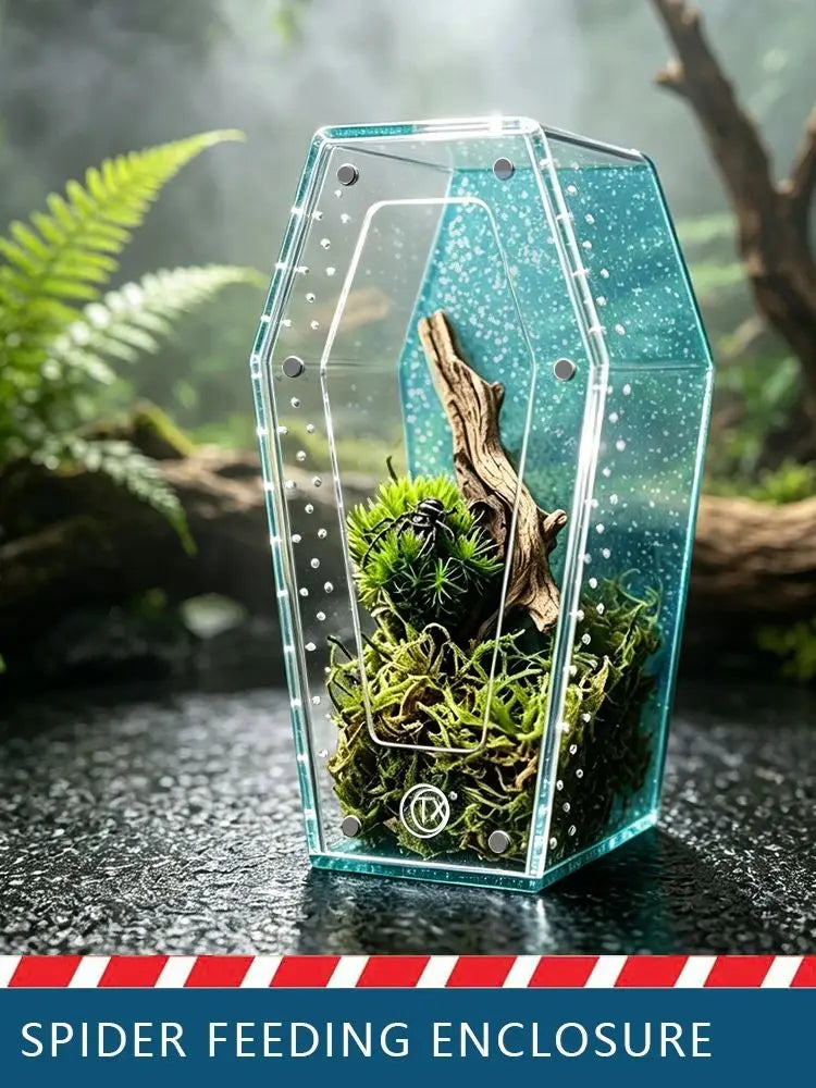 A clear acrylic spider feeding enclosure with moss and wood branches is displayed in a natural, misty forest setting.