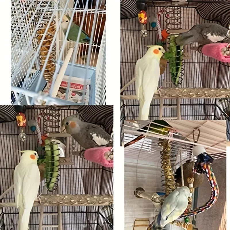 Stainless Steel Parrot Forager Feeder with Spiral Fruit Basket