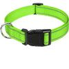 Decorative Nylon Dog Collar with Buckle Closure