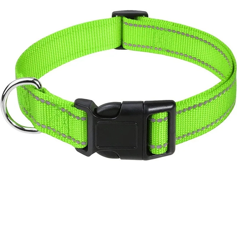 Decorative Nylon Dog Collar with Buckle Closure