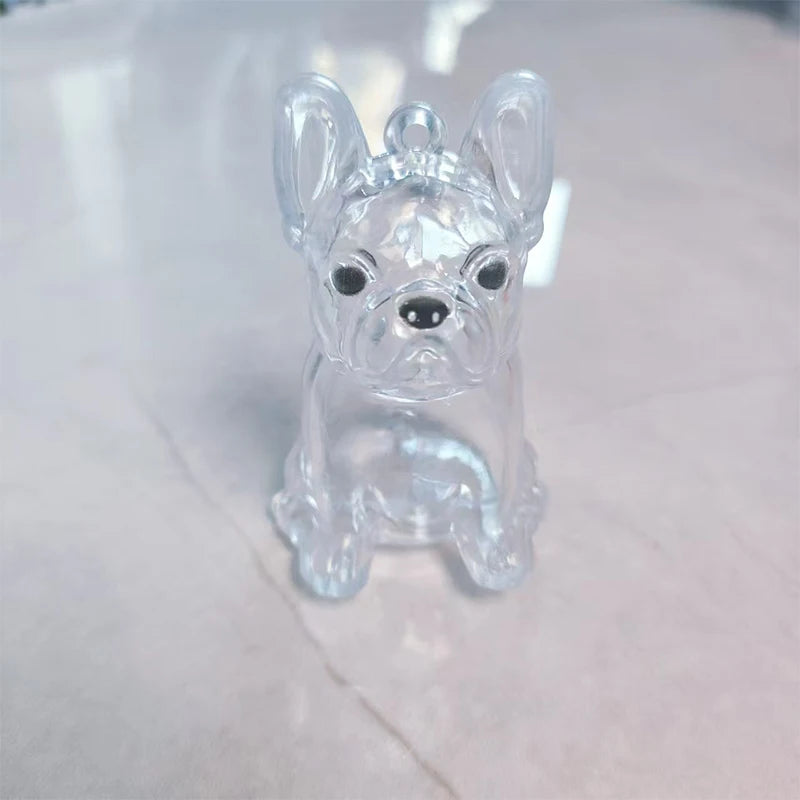 Transparent Pet Hair Keepsake Charm for Keys