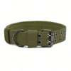Heavy-Duty Nylon Dog Collar with Padded Lining and Metal Buckle