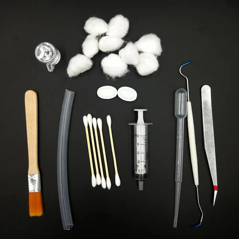 Kit de démarrage pour fourmilière avec abreuvoir et outils
