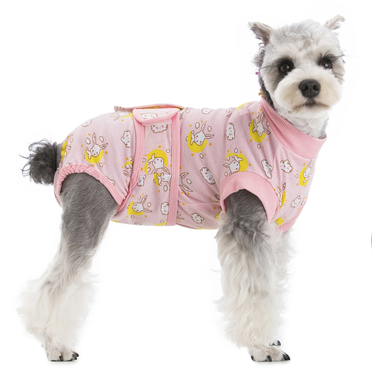 A small, fluffy dog wearing a pink pet recovery suit with yellow patterns.