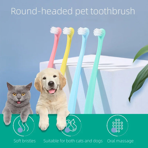 Dog and Cat Toothbrush with Small Head for Teeth Cleaning