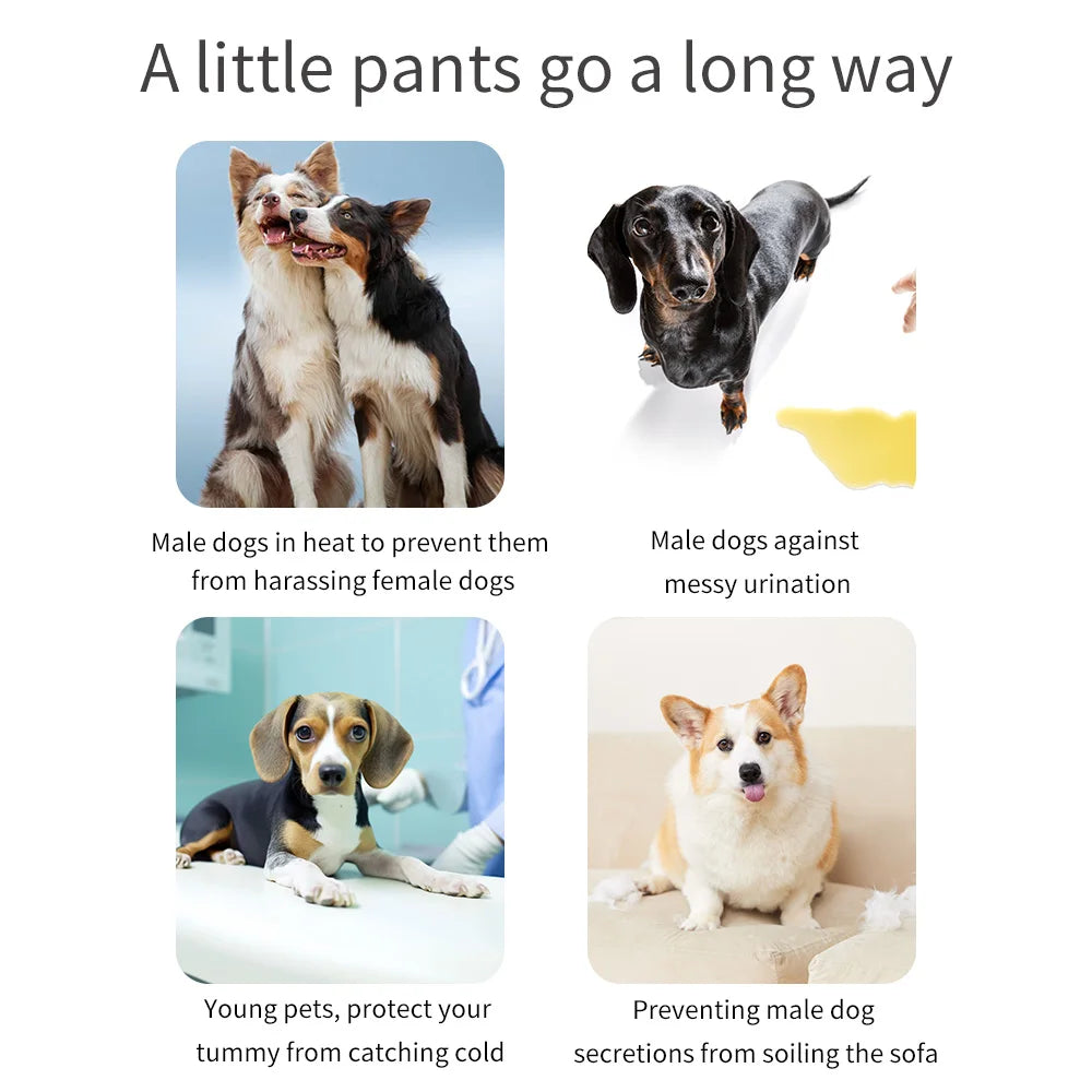 A collage showing male dogs in various situations, including protection from harassment and preventing messy urination.