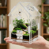 Ein durchsichtiges Plastikterrarium in Hausform mit Moos und kleinen Pflanzen wird in der Hand gehalten.