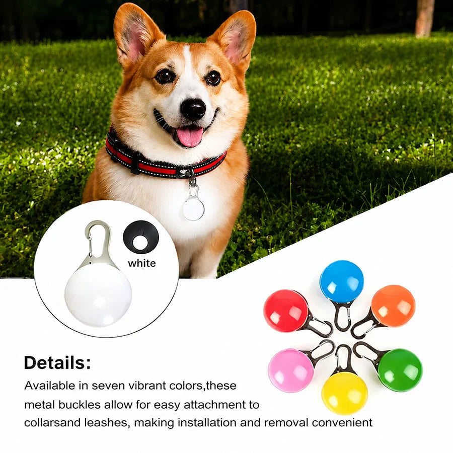 A happy dog wearing a black collar and leash, with an inset showing a white LED light component.