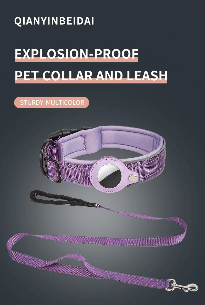 A purple explosion-proof pet collar and leash set shown against a dark background.