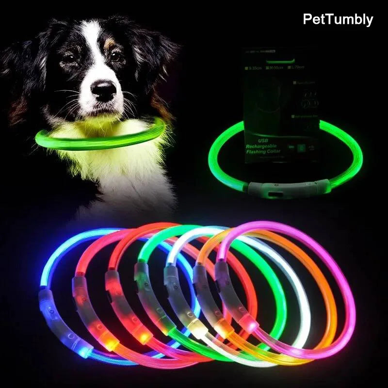 Rechargeable LED Dog Collar with USB Charging