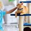 Breakaway Cat Collar with AirTag Holder and Reflective Strips