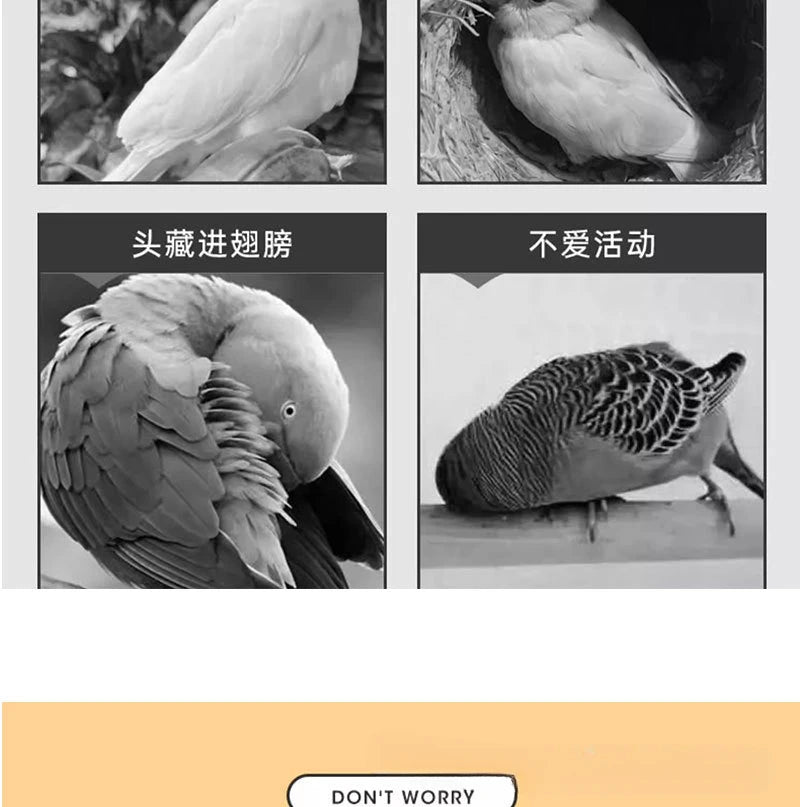 عش قطن للطيور داخل القفص للببغاوات وبادجات