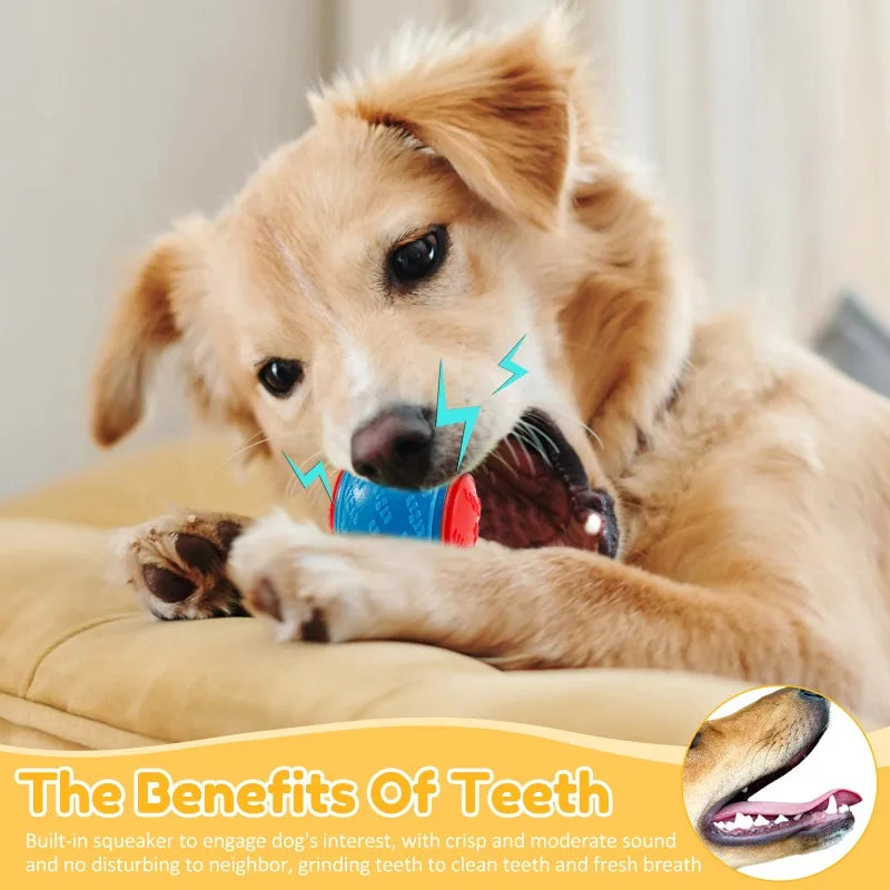 Squeaky Dog Balls (6-Pack) – Durable TPR Chew Toys for Interactive Play