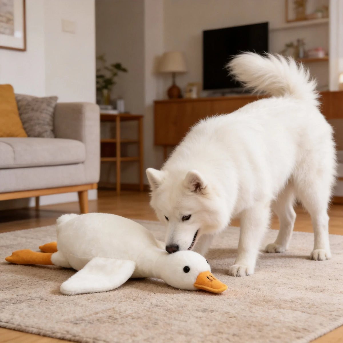 A fluffy white dog gently interacts with a white plush duck toy on a light rug.