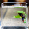 Betta Fish Rest Leaf Hammock with Suction Cup