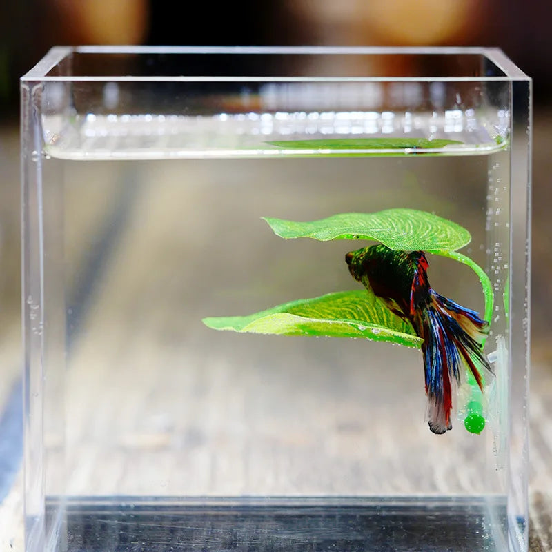 Betta Fish Rest Leaf Hammock with Suction Cup
