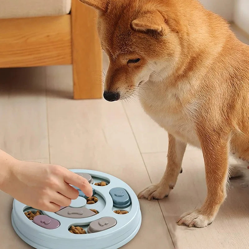 A hand is interacting with an interactive dog slow feeder bowl containing kibble, next to an orange dog.