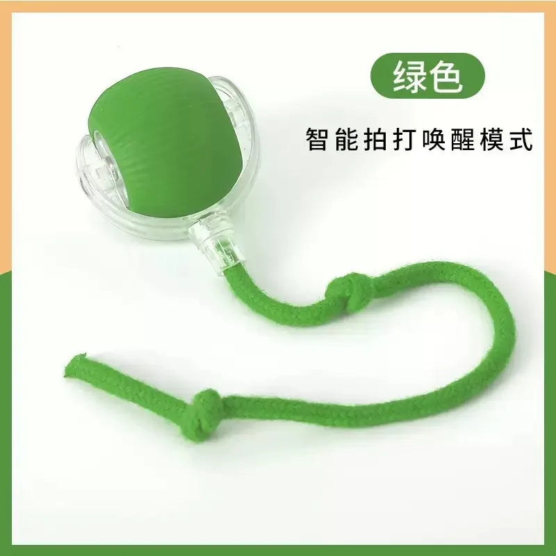 Interactive Automatic Rolling Dog Ball with Motion Activation