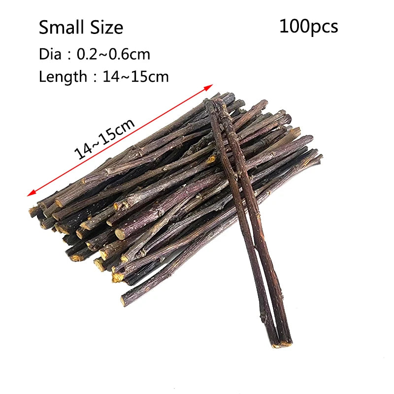 Bâtons de Mâche en Bois de Pommier Naturel pour Petits Animaux