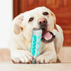 Palito de Masticar Dental de TPR para Perros