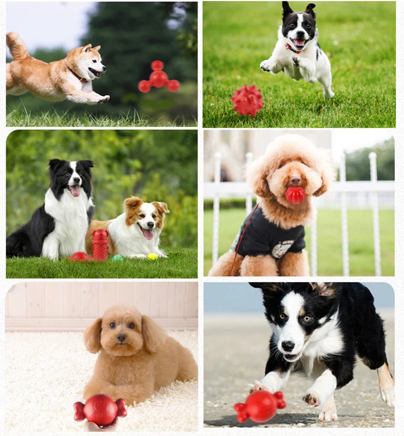 A collection of dog chew toys including a red rubber ball, a pink chew toy, and a red rubber bone.