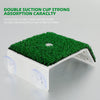 Turtle Basking Platform with Simulation Lawn Ramp