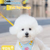 Striped Color-Block Dog Harness with Matching Leash
