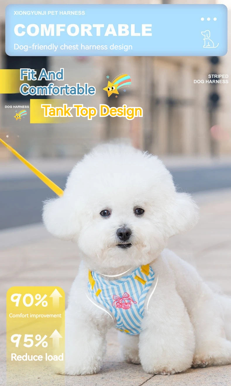 Striped Color-Block Dog Harness with Matching Leash