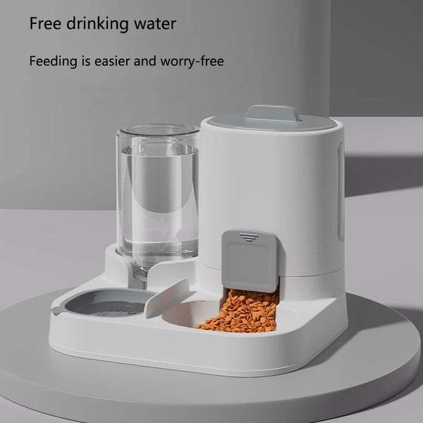 Two-in-one Pet Feeding and Water Bowl