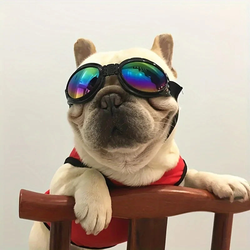 A white bulldog wearing black sunglasses with mirrored green and blue lenses sitting on a wooden surface.