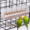 A green budgerigar perched on a branch in a black wire cage with a clear feeder tray.