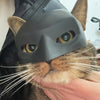 A tabby cat is wearing a gray bat mask while being held by a human hand.